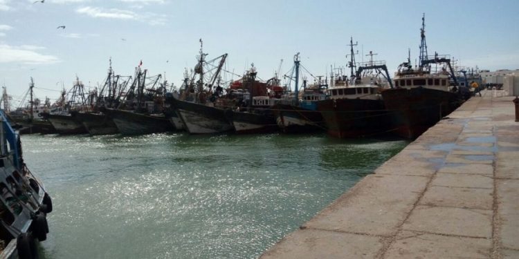 مطالب بتوقيف نشاط الصيد البحري،و انخراط الصيد بأعالي البحار في تموين السوق الداخلي.