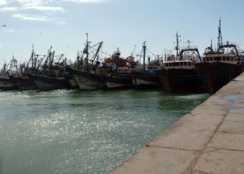 العيون: الأرامل و البحارة يطالبون يتوفير دعم مباشر لمواجهة تداعيات كرونا.