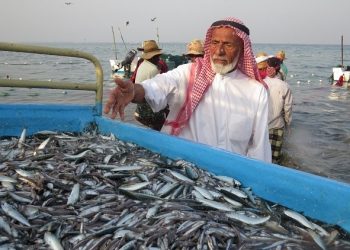 الامارات العربية المتحدة تعلق نشاط الصيد البحري الى غاية أكتوبر.