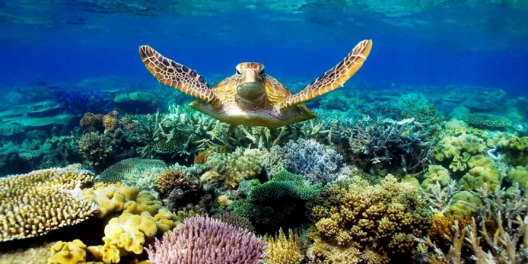 في زمن كورونا “البيئة خرجت فائزة”