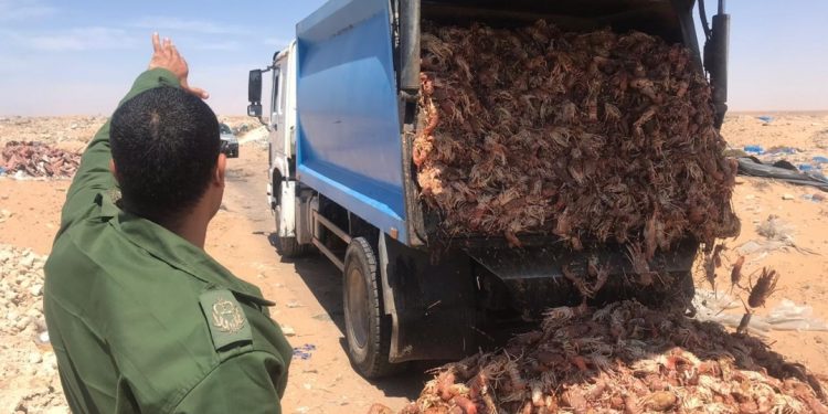 في زمن كوروما:  120 مليون سنتيم دعم لصندوق النفايات.