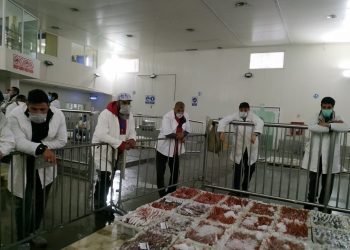 أسفي: لمنع الاكتضاض، OMP يعتمد تدابير نوعية داخل سوق السمك للبيع بالجملة.