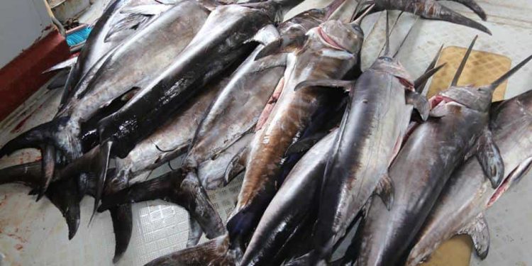 في زمن كورونا:  “ابوسيف”أهم من سلامة البحارة!!!!!