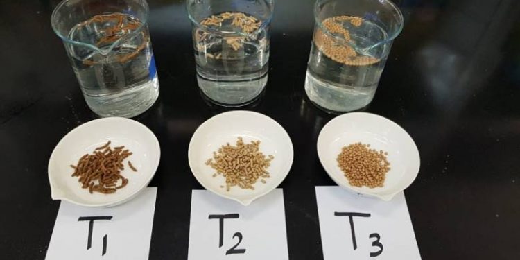 سلطنة عمان تحصد جائزتين عربيتين في قطاع البحوث السمكية