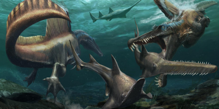 اكتشاف أول “ديناصور مائي” بالمغرب.