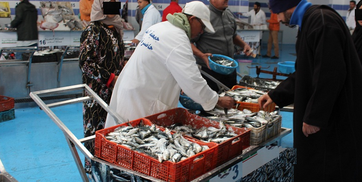 مفرغات الأسماك بميناء آسفي تتجاوز 23 مليون درهما خلال الأسابيع الثلاثة من شهر رمضان .