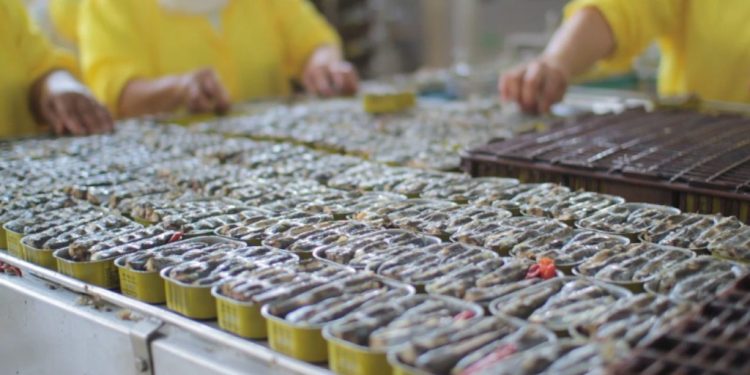 كورونا يخترق معملا لتصبير السمك بأكادير !