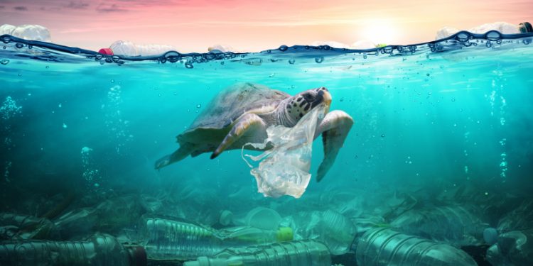 ايطاليا تحتضن أكبر تركيز لمخلفات البلاستيك ببحارها.