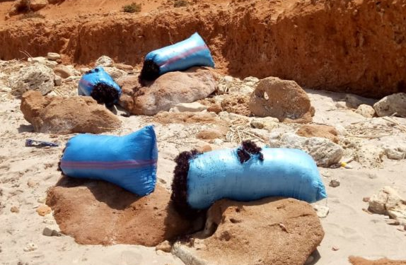 بلطجية الجني العشوائي للطحالب يعتدون على لجن المراقبة و التتبع.