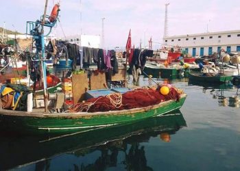 بحارة الحسيمة يطالبون بحماية الثروة البحرية وإنقاذ قطاع صيد السردين من الإفلاس