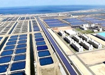 مصر الأولى إفريقيا والتاسعة عالميا في الاستزراع السمكي