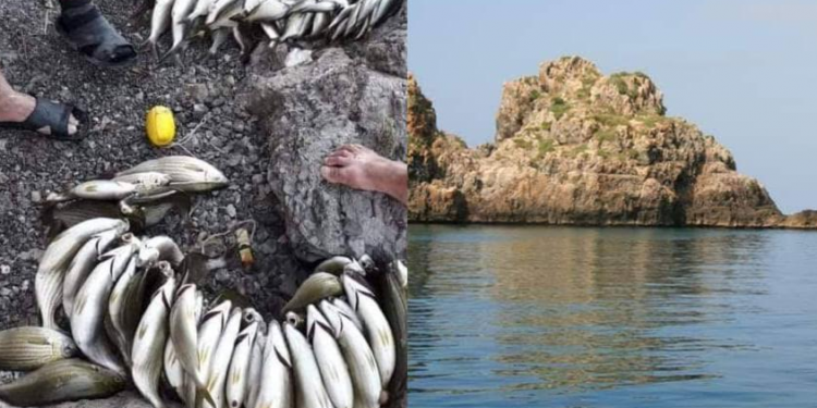 أنصار البيئة غاضبون من استمرار الصيد بالمتفجرات بسواحل المنتزه الوطني للحسيمة