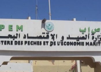 إطلاق المكونة الخاصة بقطاع الصيد في برنامج “أولوياتي” والمرحلة الثانية من التوزيع المجاني للأسماك