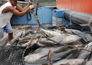 السنغال تنقض اتفاقات الصيد غير المسؤولة