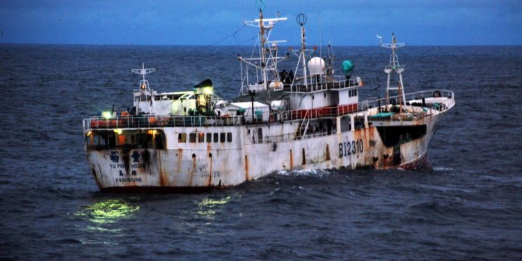 منظمة الأغذية والزراعة للأمم المتحدة تحيي ” اليوم الدولي لمكافحة الصيد غير القانوني دون إبلاغ ودون تنظيم”.