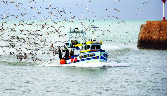 البيرو .. استدامة النظم الإيكولوجية البحرية