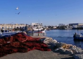منع السمك الوافد على بني انصار مقاربة تحاكي التضييق على التجارة المعيشية مع مليلية المحتلة.
