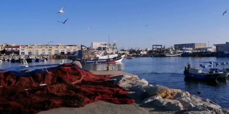 منع السمك الوافد على بني انصار مقاربة تحاكي التضييق على التجارة المعيشية مع مليلية المحتلة.