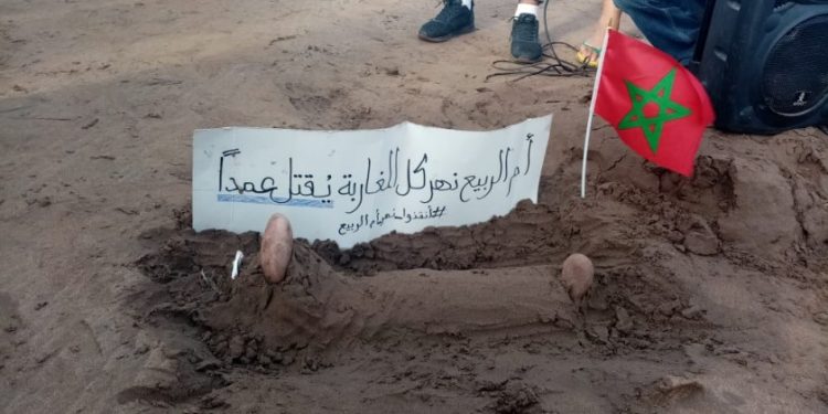 نشطاء يطالبون بتصنيف مصب نهر أم الربيع محمية طبيعية.