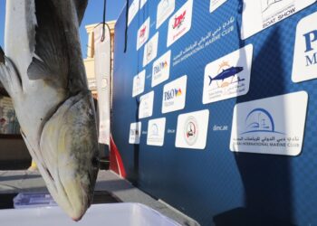 دبي الدولي للرياضات البحرية يطلق أول مسابقة في صيد السمك بقوارب الكياك