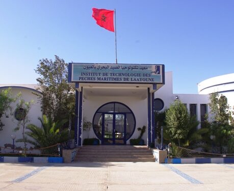 لعنة “البذلة الموحدة” تكشف فصولا جديدة من الجرائم في حق الطلبة و المال العام بمعهد التكنولوجيا للصيد البحري بالعيون.