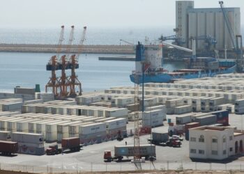 تحريات الجمارك بميناء أكادير تفنّد خبر تهريب 250طن من الأخطبوط