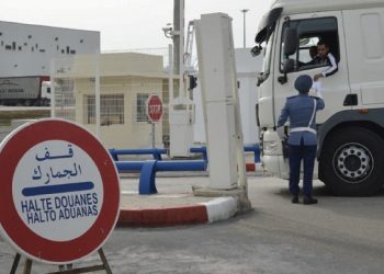 محاولة تهريب 5 شاحنات من الأخطبوط، تفضح التحامل ضد أكبر وحدة لتجميد المنتوجات البحرية