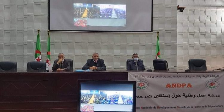 الجزائر : إستئناف نشاط صيد المرجان الأحمر