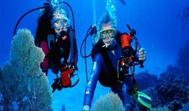 مصر :مبادرة تبني مواقع الشعاب المرجانية