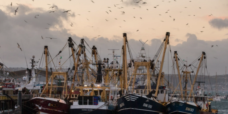 اعلان الحرب على الاتحاد الأوروبي بعد حظره منتجات سمكية قادمة من بريطانيا،