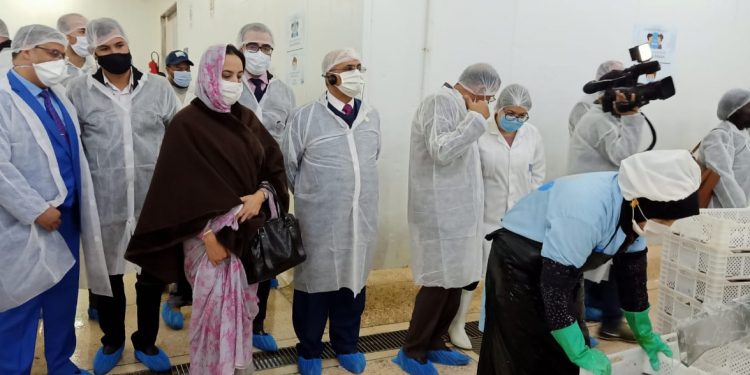 وفد دبلوماسي يطلع على مؤهلات ميناء طانطان