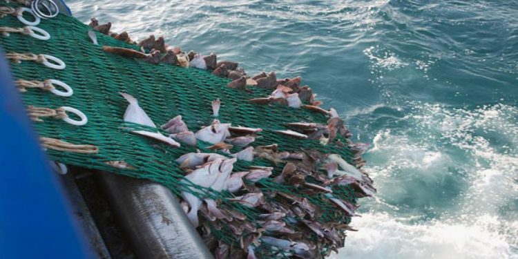 البرلمان الموريتاني : يحاصر الحكومة بخصوص استنزاف التروة السمكية