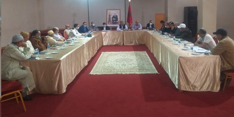 السمك السطحي، التكوين و التسويق أهم محاور اجتماع المكتب التنفيذي للكنفدرالية الوطنية للصيد الساحلي