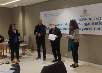 الرباط : FAO تختتم دورة تدريبية حول تعزيز أداء المنظمات المهنية في الصيد التلقيدي