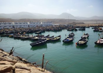 الفعاليات المهنية بسيدي افني ترحب ب”المنتدى الأول لمهن البحر و ريادة الأعمال”.