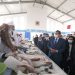 عزيز أخنوش يدشن سوق السمك بأقليم شفشاون