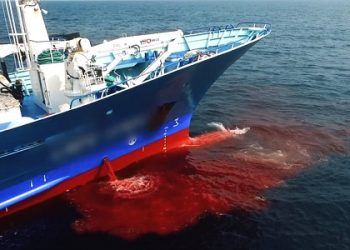 لماذا تحظى صناعة صيد الأسماك بمعاملة خاصة؟