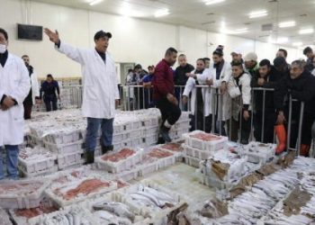 تقرير تلفزي- سوق السمك بميناء طانطان 2021