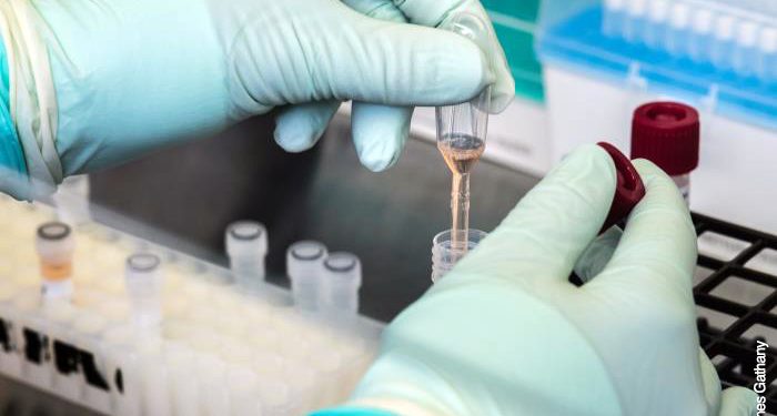 منظمات دولية تطالب بتلقيح أطقم البواخر و الطائرات