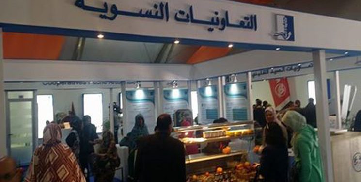 مكتب تنمية التعاون يطلق الإحصاء العام للتعاونيات واتحاداتها بالمغرب