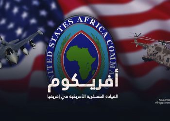 تغلغل الصين في الموانئ الأطلسية لأفريقيا يزعج القيادة العسكرية الأمريكية