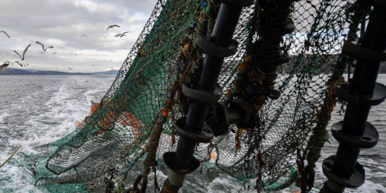 الصيد الجائر ينذر بمجاعة عالمية وكارثة بيئية غير مسبوقة