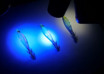 فرنسا:500يورو قيمة غرامة لاستعمال الاضواء الكاشفة في الصيد