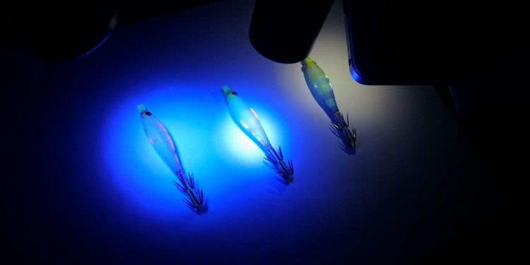 فرنسا:500يورو قيمة غرامة لاستعمال الاضواء الكاشفة في الصيد