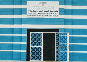 العيون: مهنيون يتساءلون عن مآل 6 أطنان من السمك المعد للتهريب تم اعتراضها بطانطان