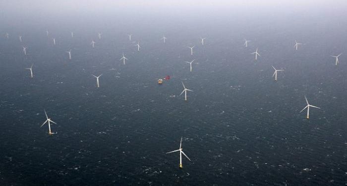 هل تخلت المملكة المتحدة عن الصيد البحري مقابل الطاقة الريحية