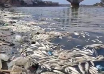 من أزمور الى الجديدة، مسيرة مشيا على الاقدام من اجل انقاذ نهر أم الربيع