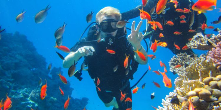 برنامج رياضي وترفيهي في الغوص بالمحمدية