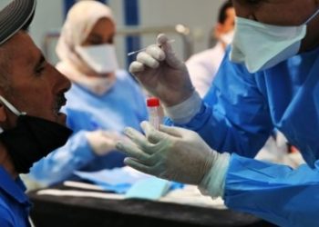 تشديد قيود التنقل بسبب تطور الحالة الوبائية تعطل مراكب الصيد عن استئناف نشاطها