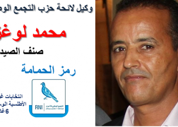 محمد لوغزال: الدفاع عن مصالح المهنيين،و تثمين الموارد البحرية النقط العريضة في برنامجنا